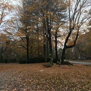 Meet your Posher, Heymi